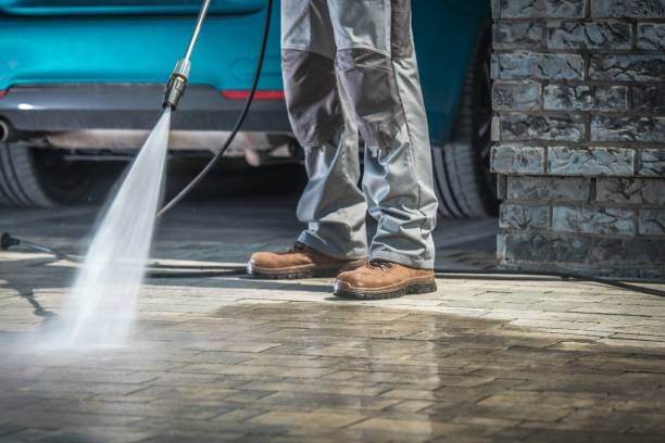 Best Roof Washing  in Hughson, CA