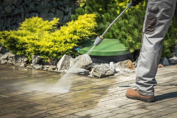Best Solar Panel Cleaning  in Hughson, CA